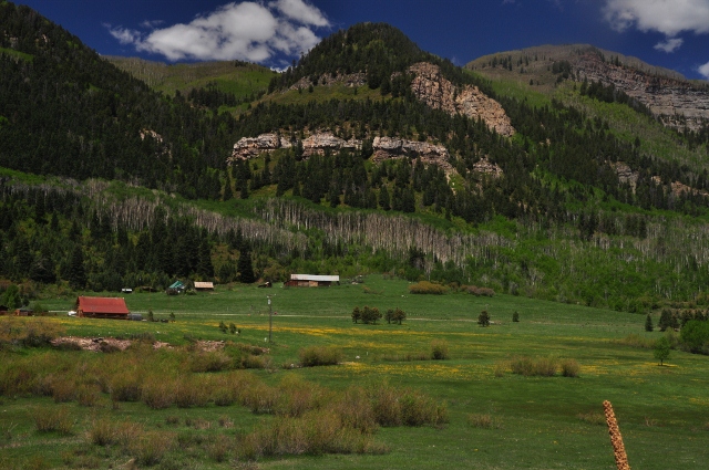 A pasture of flowers along the 550
